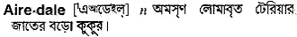 airedale Meaning in Bangla Academy Dictionary