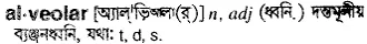 alveolar Meaning in Bangla Academy Dictionary