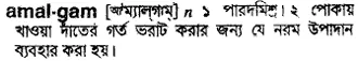 amalgam Meaning in Bangla Academy Dictionary