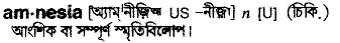 amnesia Meaning in Bangla Academy Dictionary