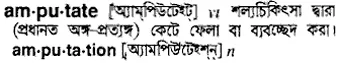 amputate Meaning in Bangla Academy Dictionary