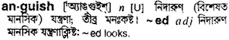 anguish Meaning in Bangla Academy Dictionary