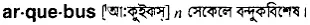 arquebus Meaning in Bangla Academy Dictionary