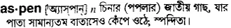 aspen Meaning in Bangla Academy Dictionary