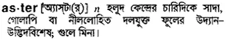 aster Meaning in Bangla Academy Dictionary