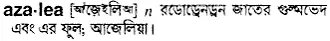 azalea Meaning in Bangla Academy Dictionary