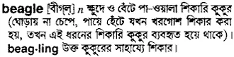 beagle Meaning in Bangla Academy Dictionary