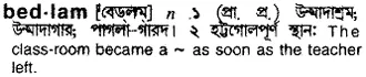 bedlam Meaning in Bangla Academy Dictionary