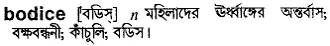 bodice Meaning in Bangla Academy Dictionary