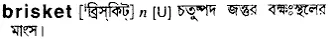 brisket Meaning in Bangla Academy Dictionary