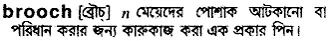 brooch Meaning in Bangla Academy Dictionary