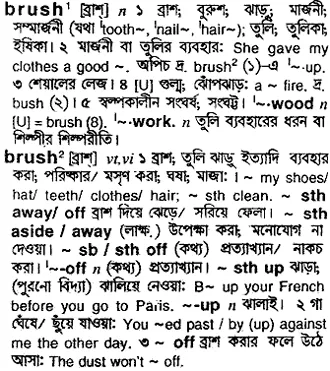 brush Meaning in Bangla Academy Dictionary