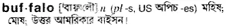 buffalo Meaning in Bangla Academy Dictionary