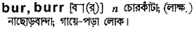 bur Meaning in Bangla Academy Dictionary