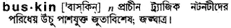 buskin Meaning in Bangla Academy Dictionary