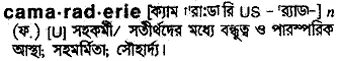 camaraderie Meaning in Bangla Academy Dictionary