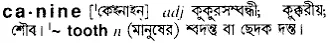 canine Meaning in Bangla Academy Dictionary