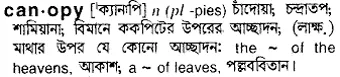 canopy Meaning in Bangla Academy Dictionary