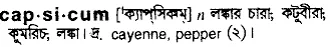 capsicum Meaning in Bangla Academy Dictionary