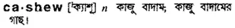 cashew Meaning in Bangla Academy Dictionary