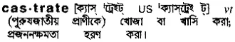 castrate Meaning in Bangla Academy Dictionary