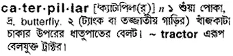 caterpillar Meaning in Bangla Academy Dictionary