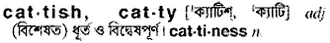 cattish Meaning in Bangla Academy Dictionary