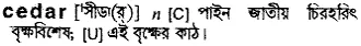 cedar Meaning in Bangla Academy Dictionary