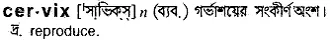 cervix Meaning in Bangla Academy Dictionary