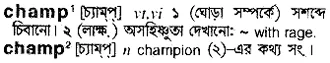 champ Meaning in Bangla Academy Dictionary