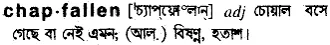 chapfallen Meaning in Bangla Academy Dictionary