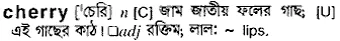 cherry Meaning in Bangla Academy Dictionary