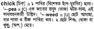 chick Meaning in Bangla Academy Dictionary