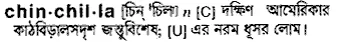 chinchilla Meaning in Bangla Academy Dictionary