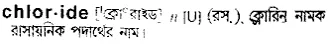 chloride Meaning in Bangla Academy Dictionary