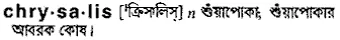 chrysalis Meaning in Bangla Academy Dictionary