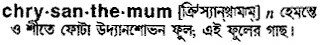 chrysanthemum Meaning in Bangla Academy Dictionary