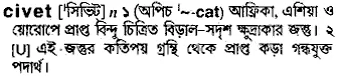 civet Meaning in Bangla Academy Dictionary