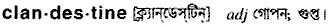 clandestine Meaning in Bangla Academy Dictionary