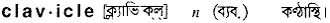 clavicle Meaning in Bangla Academy Dictionary