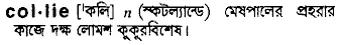 collie Meaning in Bangla Academy Dictionary