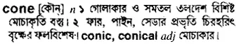 cone Meaning in Bangla Academy Dictionary