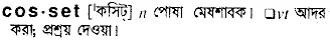 cosset Meaning in Bangla Academy Dictionary