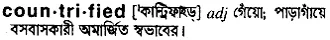 countrified Meaning in Bangla Academy Dictionary