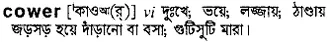 cower Meaning in Bangla Academy Dictionary