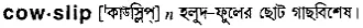 cowslip Meaning in Bangla Academy Dictionary