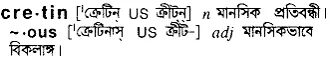 cretin Meaning in Bangla Academy Dictionary