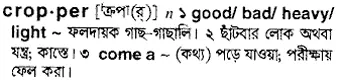 cropper Meaning in Bangla Academy Dictionary