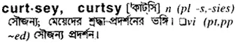 curtsy Meaning in Bangla Academy Dictionary