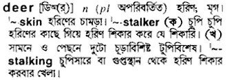 deer Meaning in Bangla Academy Dictionary